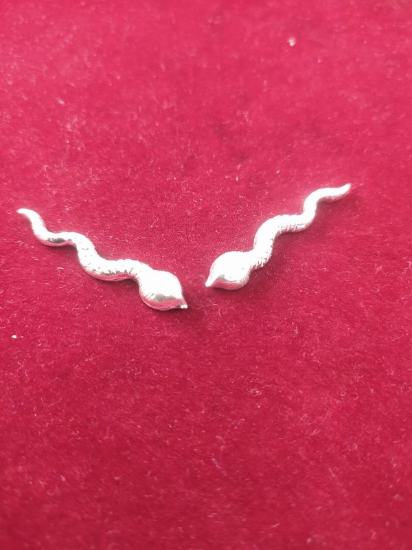 Pure Silver Serpent Snake Sheshnaag Naag Naagin Joda Set for Puja (1) Pure Silver Serpent Snake Sheshnaag Naag Naagin Joda Set for Puja