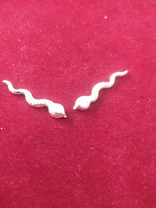 Pure Silver Serpent Snake Sheshnaag Naag Naagin Joda Set for Puja (3) Pure Silver Serpent Snake Sheshnaag Naag Naagin Joda Set for Puja