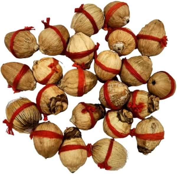 laghu-nariyal-abhimintrit1