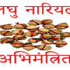 laghu-nariyal-shreefal1 laghu-nariyal-shreefal1