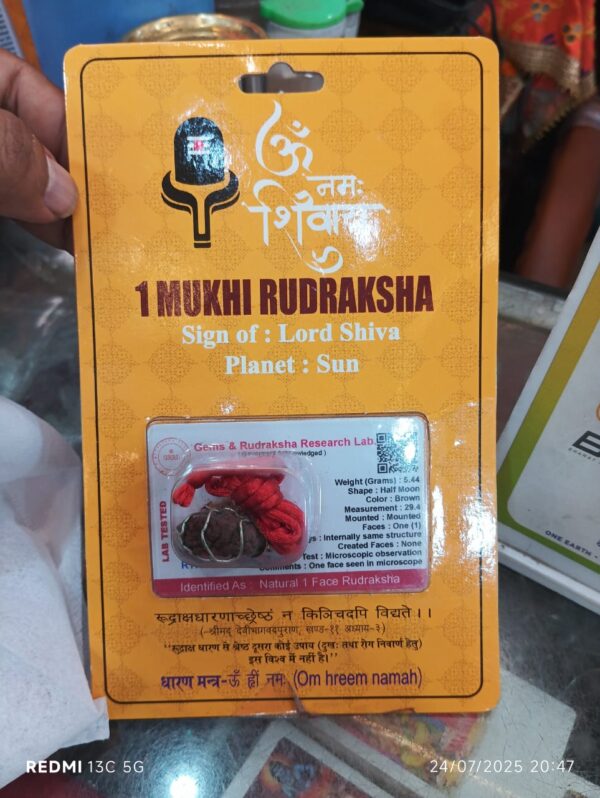 1 mukhi rudraksh (4) 1 mukhi rudraksha, one mukhi rudraksha, ek mukhi rudraksha, original 1 mukhi rudraksha, nepali ek mukhi rudraksha, rare rudraksha bead, rudraksha for sun, lord shiva rudraksha, sahasrara chakra rudraksha, moksha rudraksha, best rudraksha for meditation, original rudraksha bead, spiritual healing rudraksha, certified rudraksha online