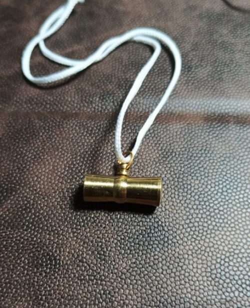 saraswati amulet for students, study success talisman, goddess saraswati pendant, wisdom amulet, education yantra, memory booster spiritual remedy, focus and concentration charm, exam success tabeez, divine amulet for studies, learning improvement taweez