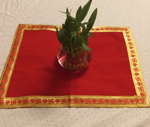 Lucky Bamboo, Feng Shui plant, good luck plant, indoor bamboo plant, low-maintenance houseplant, air-purifying plants, home décor plants, office desk plants, prosperity plant, green gift idea.