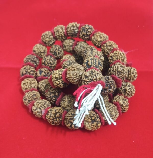 Rudraksha Mala (2) Rudraksha mala, Rudraksha beads, spiritual mala, meditation beads, prayer beads, Lord Shiva mala, energy balancing mala, mindfulness rosary, healing mala, protection talisman, mantra mala, sacred beads, hand-strung mala, yoga meditation accessory, spiritual jewelry, stress relief mala, concentration aid beads, positive energy mala, traditional Rudraksha rosary, devotional beads, holistic healing mala, meditation necklace, spiritual growth mala, divine blessing mala, authentic Rudraksha mala