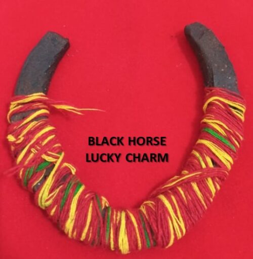 lucky horse shoe, lucky horseshoe charm, horseshoe for good luck, good luck home decor, protective horseshoe, horseshoe wall hanging, metal horseshoe decor, traditional lucky charm, good luck talisman, horseshoe gift, horseshoe door hanging, farmhouse horseshoe decor, rustic metal home decor, good fortune charm, prosperity and protection symbol, spiritual home decoration, handcrafted horseshoe, antique style horseshoe, feng shui good luck items, buy lucky horseshoe, lucky horseshoe for home, best good luck charms, lucky charm gift idea, horseshoe for front door, lucky horseshoe for business, traditional horseshoe charm for protection, handcrafted lucky horseshoe for home entrance, metal horseshoe talisman for prosperity, decorative horseshoe for rustic wall décor, symbolic horseshoe gift for housewarming