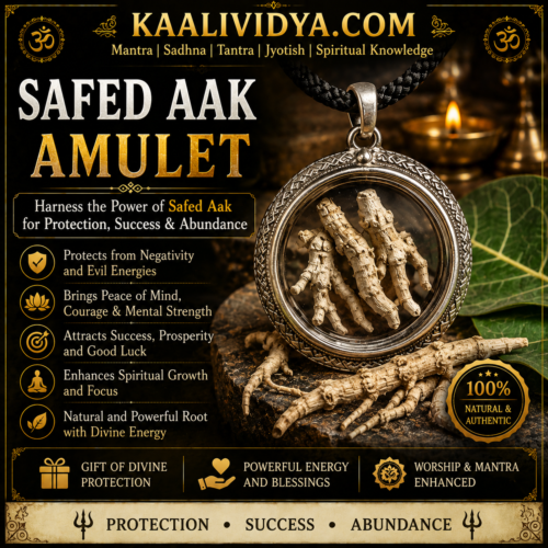 Safed Aak Amulet, Safed Aak Root Amulet, White Madar Root Safed Aak Amulet, Safed Aak Root Amulet, White Madar Root