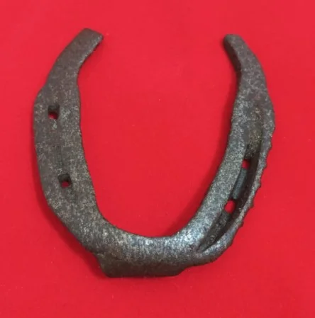lucky horse shoe, lucky horseshoe charm, horseshoe for good luck, good luck home decor, protective horseshoe, horseshoe wall hanging, metal horseshoe decor, traditional lucky charm, good luck talisman, horseshoe gift, horseshoe door hanging, farmhouse horseshoe decor, rustic metal home decor, good fortune charm, prosperity and protection symbol, spiritual home decoration, handcrafted horseshoe, antique style horseshoe, feng shui good luck items, buy lucky horseshoe, lucky horseshoe for home, best good luck charms, lucky charm gift idea, horseshoe for front door, lucky horseshoe for business, traditional horseshoe charm for protection, handcrafted lucky horseshoe for home entrance, metal horseshoe talisman for prosperity, decorative horseshoe for rustic wall décor, symbolic horseshoe gift for housewarming